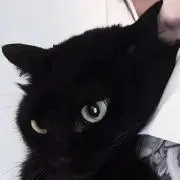ユマの画像
