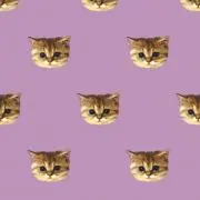 neneaの画像