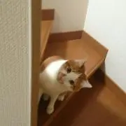 斗真ママ