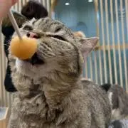 あーちん