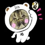 さっくんの画像