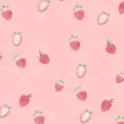 Nの画像