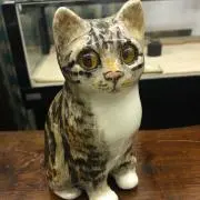shimuの画像