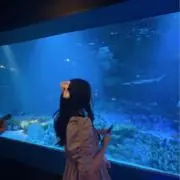 もちの画像