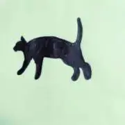 お片付け初心者の画像