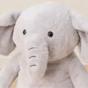 yokoの画像