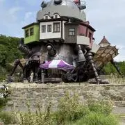 みっちゃんの画像