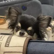 ここななの画像