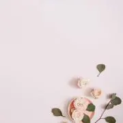 Ottaの画像