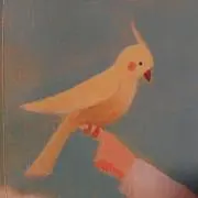 ハナミズキ