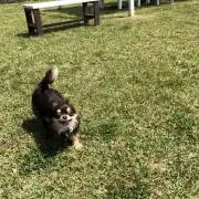 くうまま