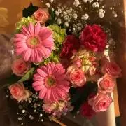 ふみ