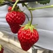 そら