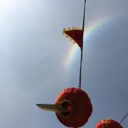 nicotoyo