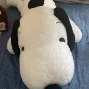 まるの画像