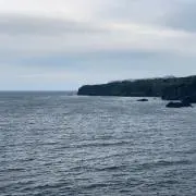 midoriの画像