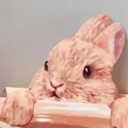 Nameの画像