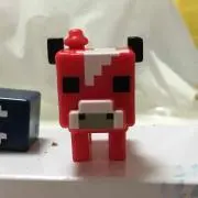 ゆーの画像