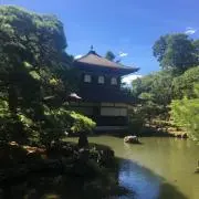 古民家でお宝発見隊の画像