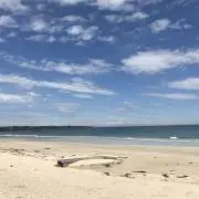 とももんの画像