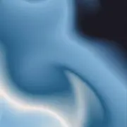 冬