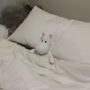 ゆの画像