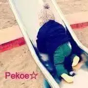 ponchanの画像