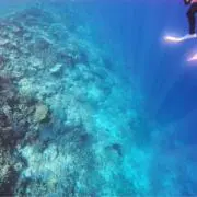 梨香の画像