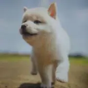 ヨックン☆プロフ必読☆の画像