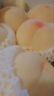 ちりめんじゃこの画像
