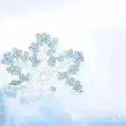 とりの画像