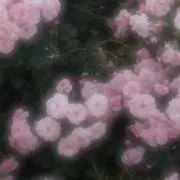 ❤︎の画像