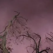 ︎︎・の画像