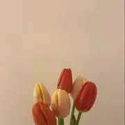 pyopyoの画像