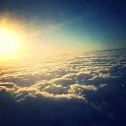 メルコジの画像