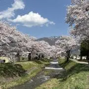 もちの画像