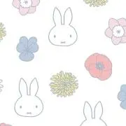 シェル＊の画像