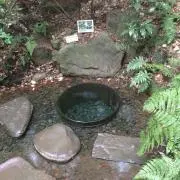 コバ1980の画像