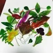 ハナコの画像