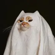 いちの画像