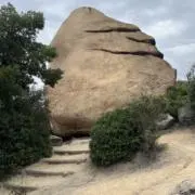 MEの画像