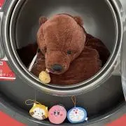 みんな大好きカピバラさんの画像