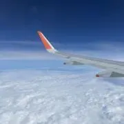 stuの画像