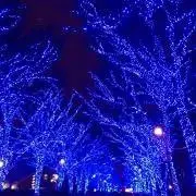 ブルターニュ