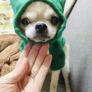 ヨシミ※プロフ必読※の画像