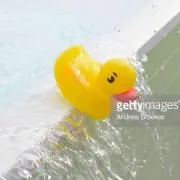 まゆ