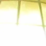 にょんの画像