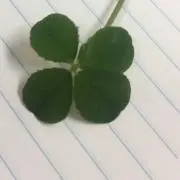 購入前、必ずコメントお願いします！の画像