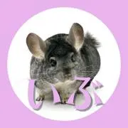 本日29日22時〜爆アド出品祭✰ˎˊ˗