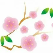 タラママの画像